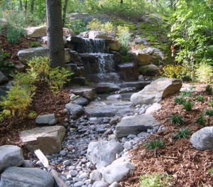 Water Features 